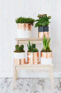 Maceteros reciclados con Chalk Paint By Annie Sloan